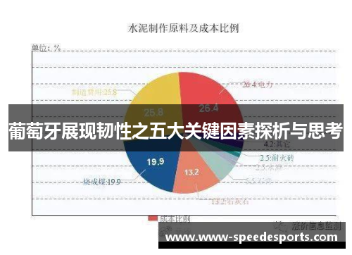 葡萄牙展现韧性之五大关键因素探析与思考