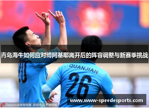 青岛海牛如何应对博阿基耶离开后的阵容调整与新赛季挑战